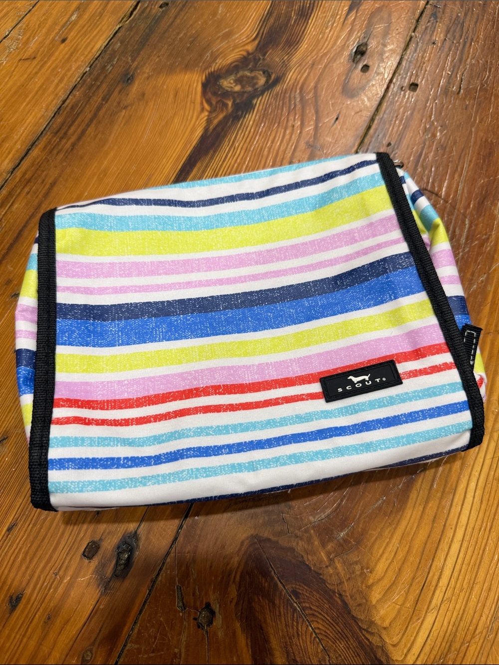 Scout Multicolor Striped Cosmetic Pouch in Red, Blue, Yellow, Pink, Green